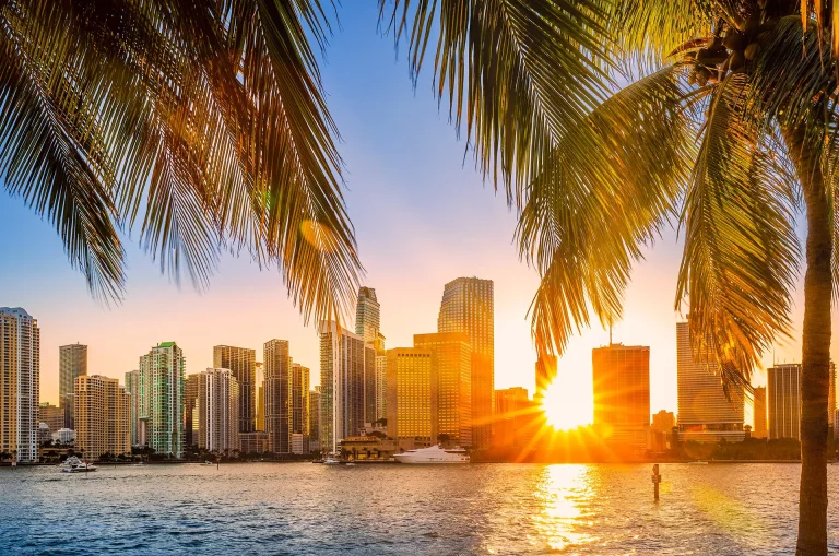 A view of Miami, a VIP transfer destination with a private chauffeur