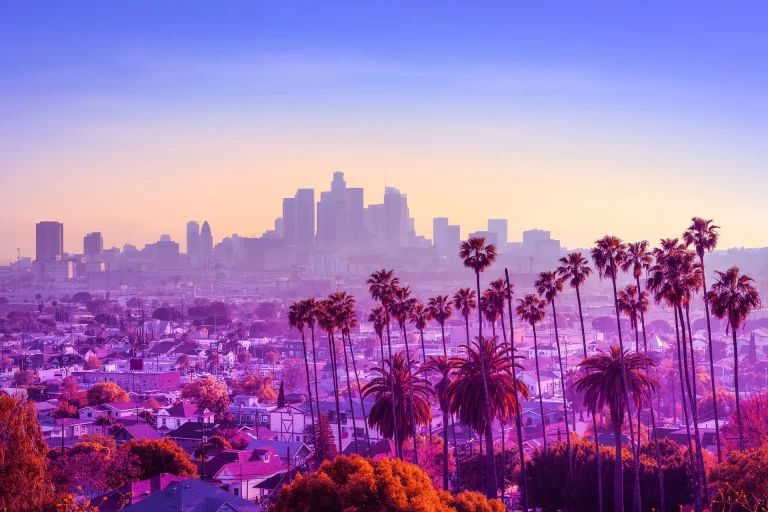 Los Angeles skyline, private VIP transfer destination